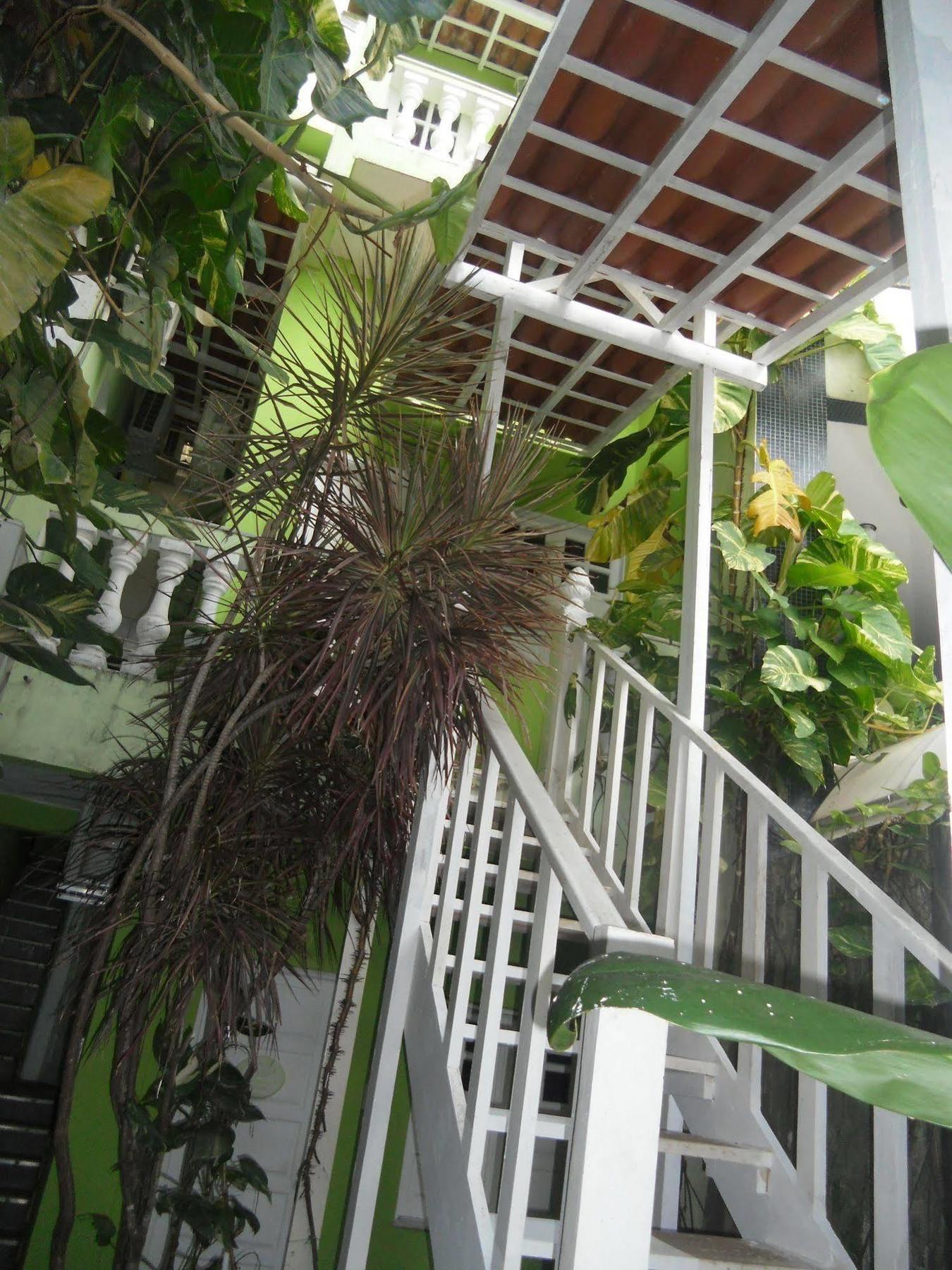 Hotel Pousada Papaya Verde Salvador Exteriör bild