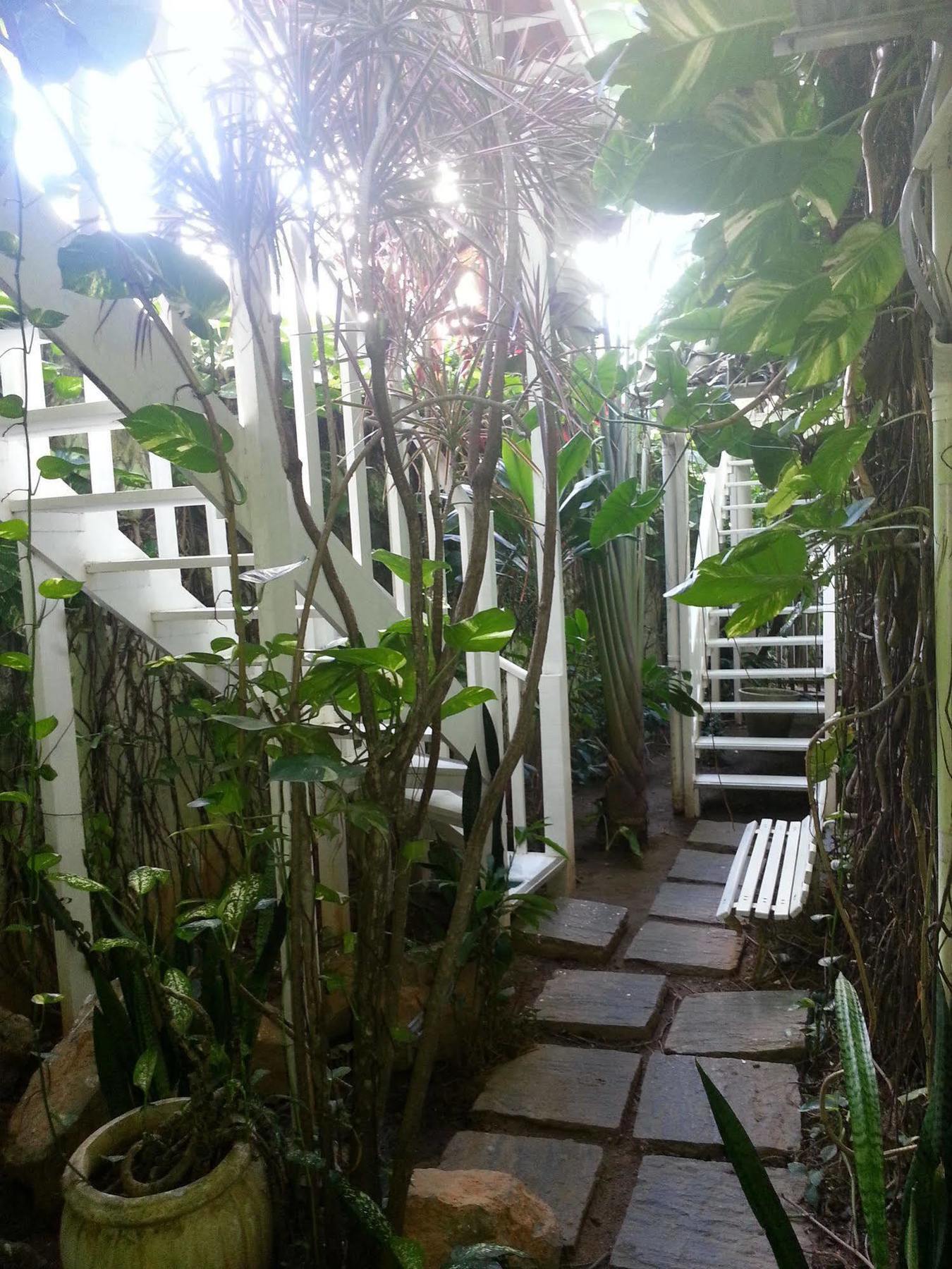 Hotel Pousada Papaya Verde Salvador Exteriör bild